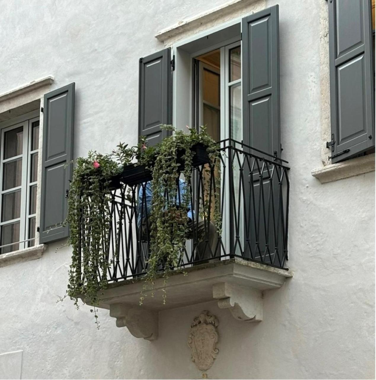 Palazzo Riccamboni Apartment Riva del Garda Luaran gambar